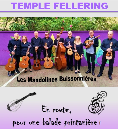 mandolines